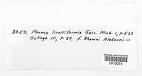 Phomopsis lirelliformis image
